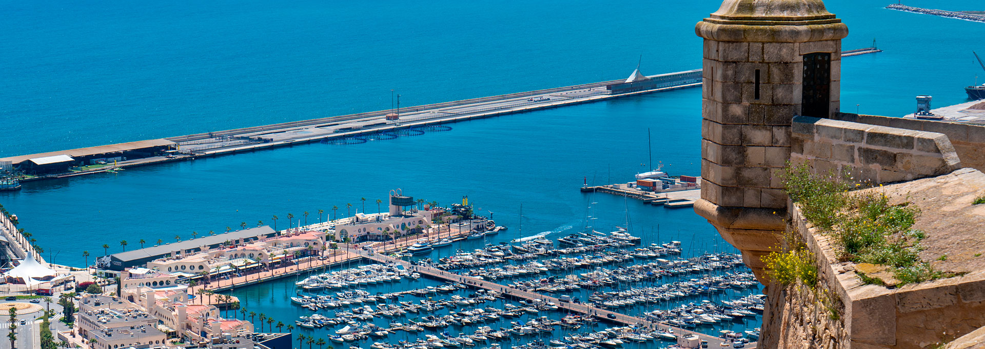 Alicante 2023